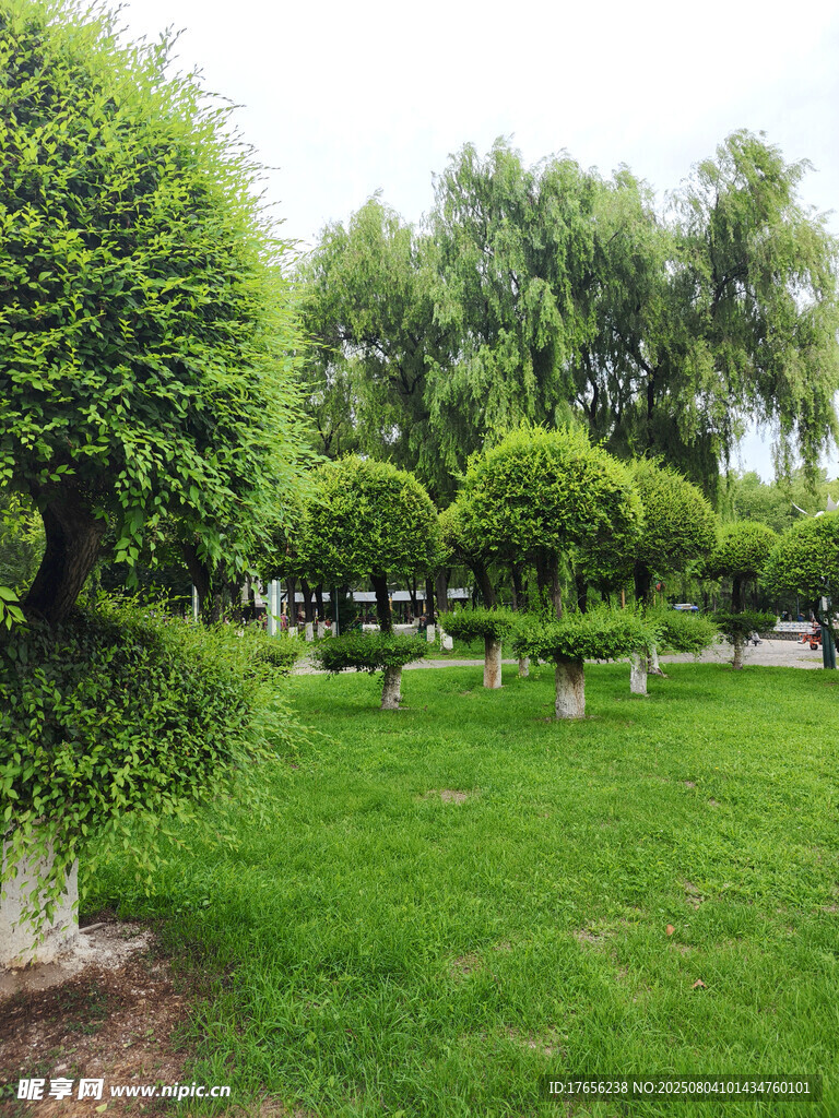 修剪整齐的园林绿植景观