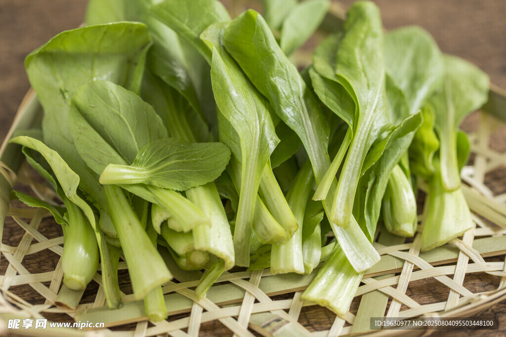 新鲜嫩菠菜