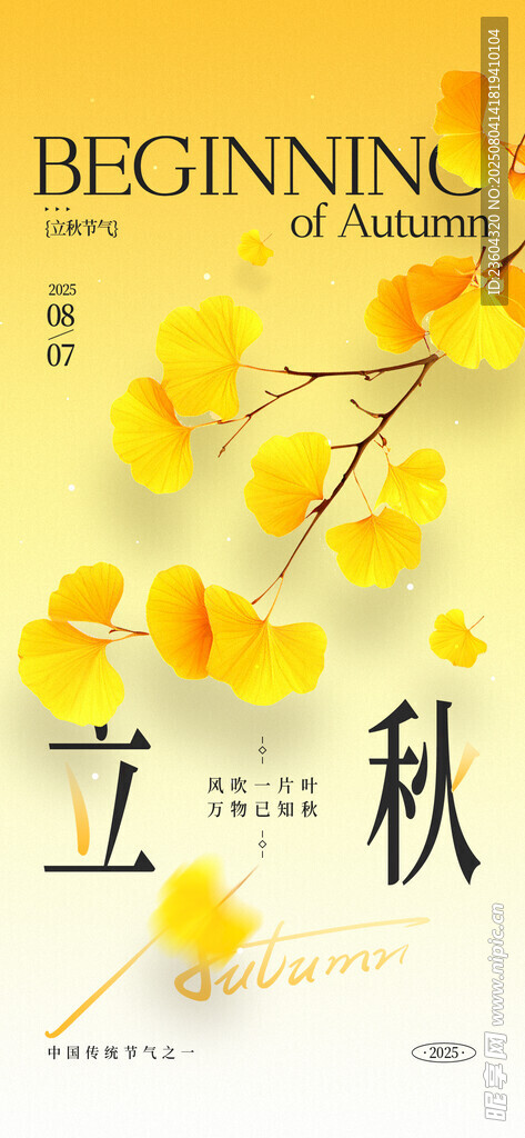 立秋时节金黄花卉美景
