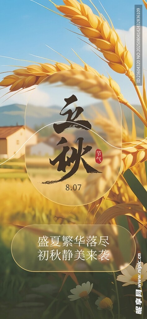 金秋麦田丰收景象