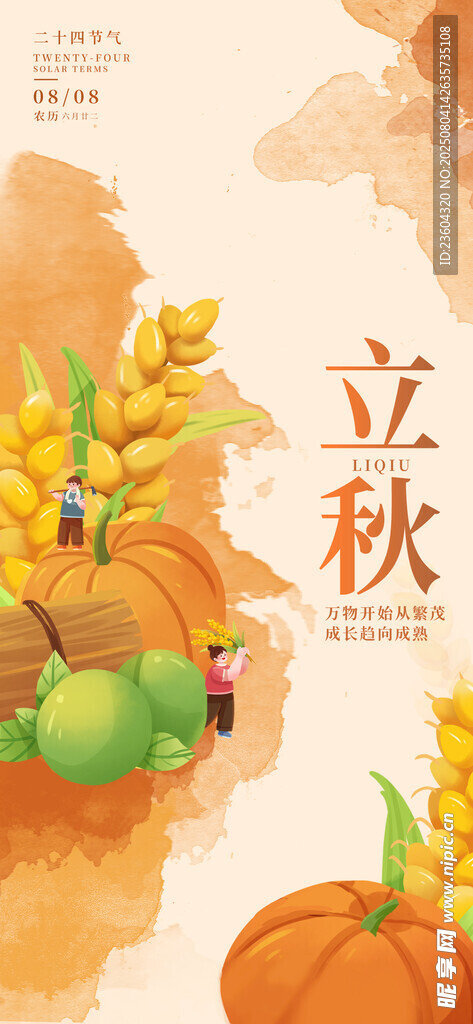 立秋时节的丰收果蔬景象