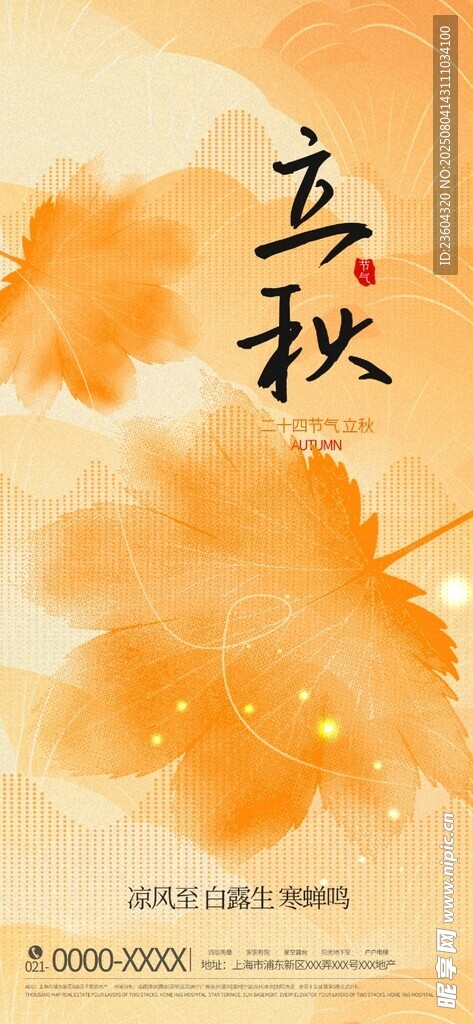 立秋时节 金黄枫叶美如画