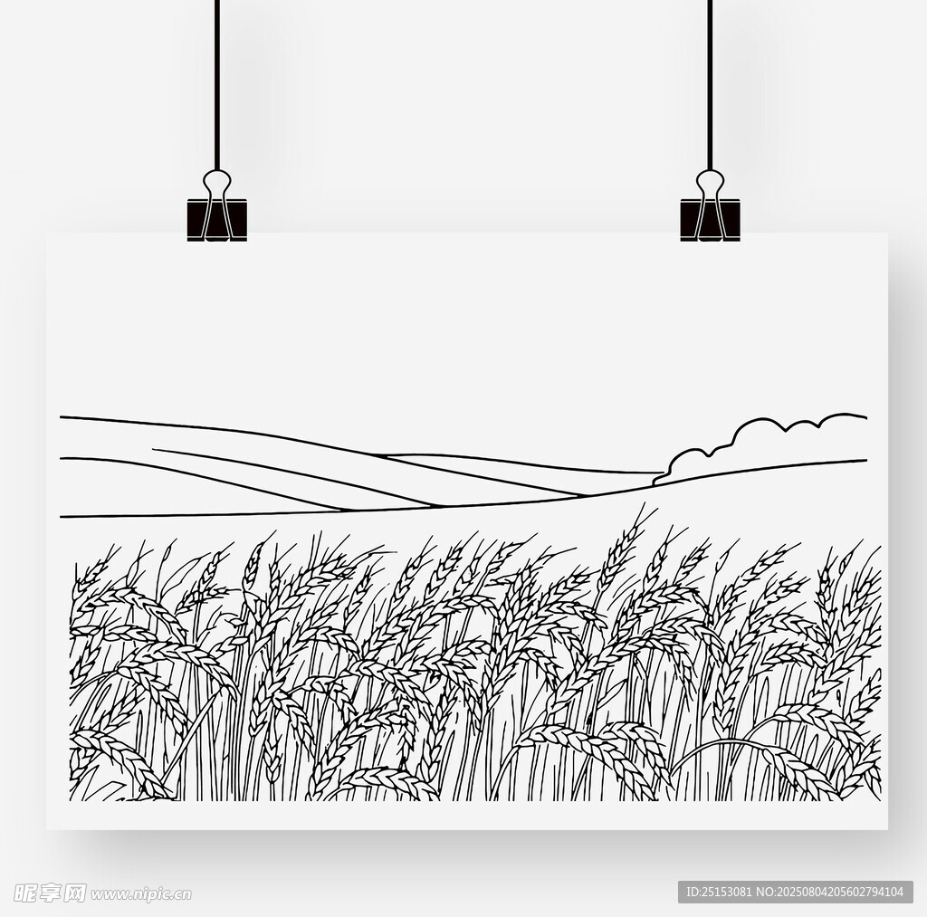 田野麦穗线条画