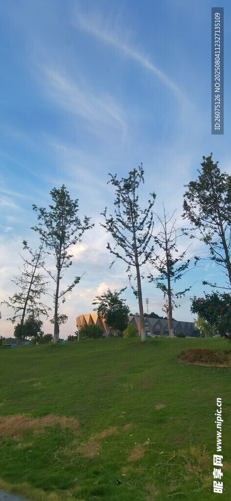 草地树木蓝天美丽景致