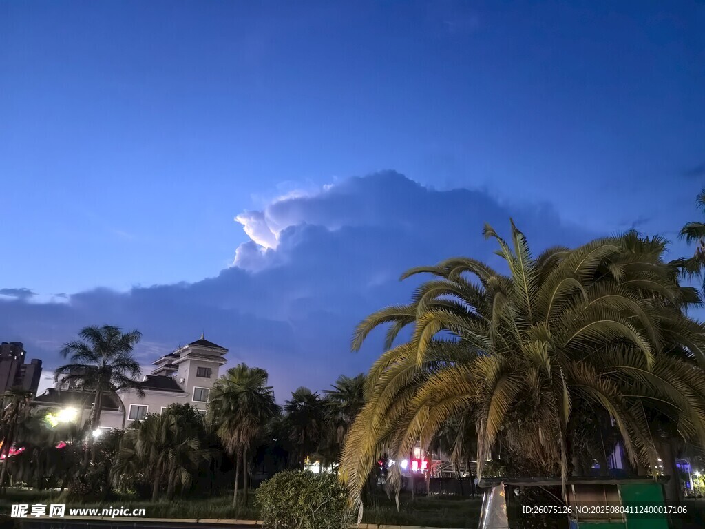 夜幕下的棕榈树与远方云彩