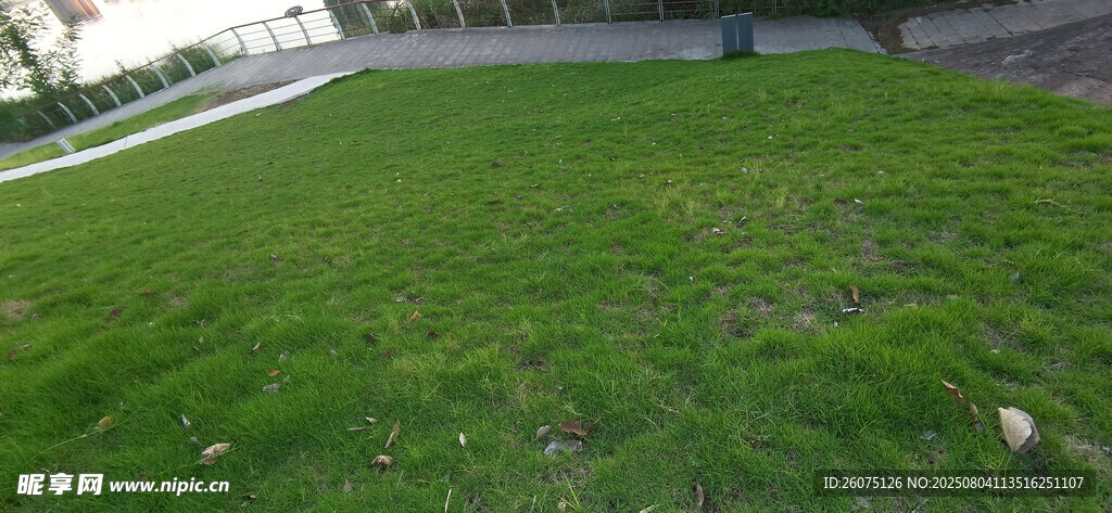 宽阔的翠绿草地