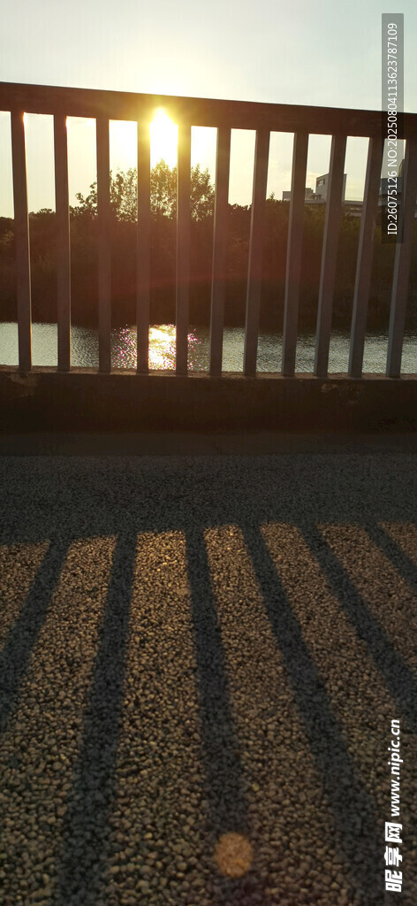 夕阳下的河畔光影