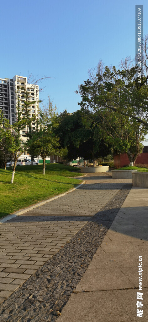 黄昏下城市公园中的砖石步道景观