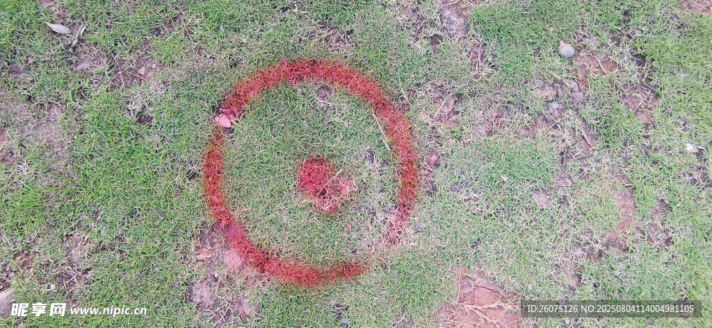 草地上的红色圆圈标记