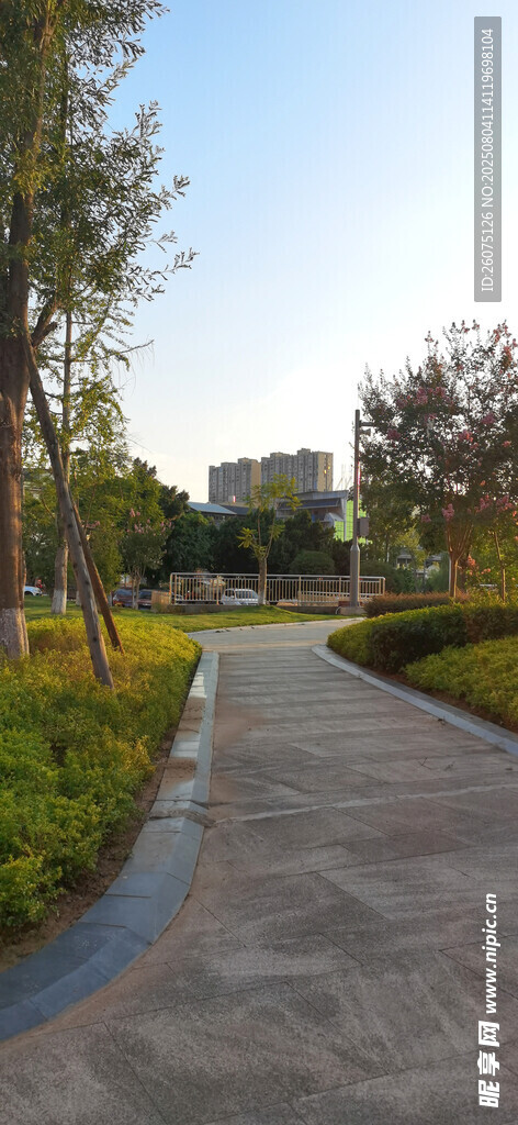 城市公园里的静谧林荫步道
