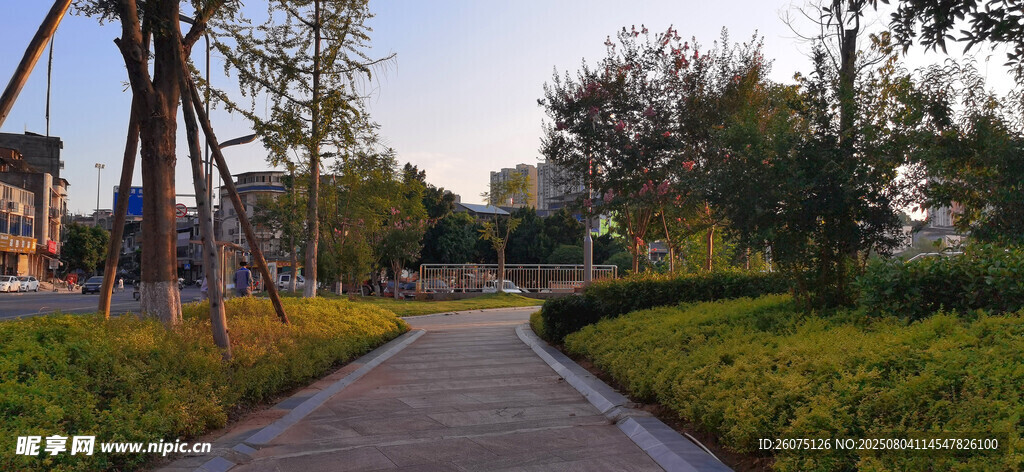 公园林荫小道景观
