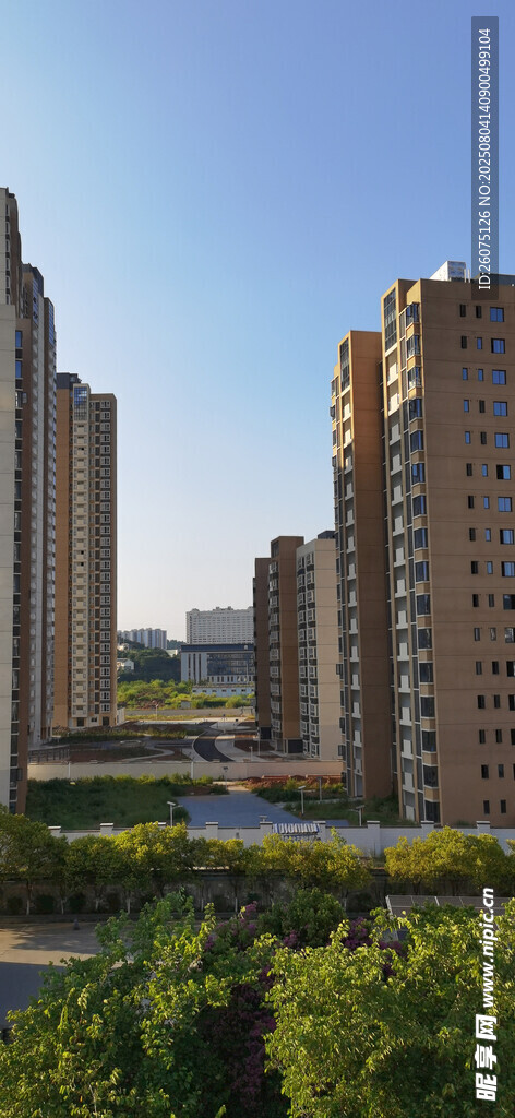 城市高楼与绿植景观