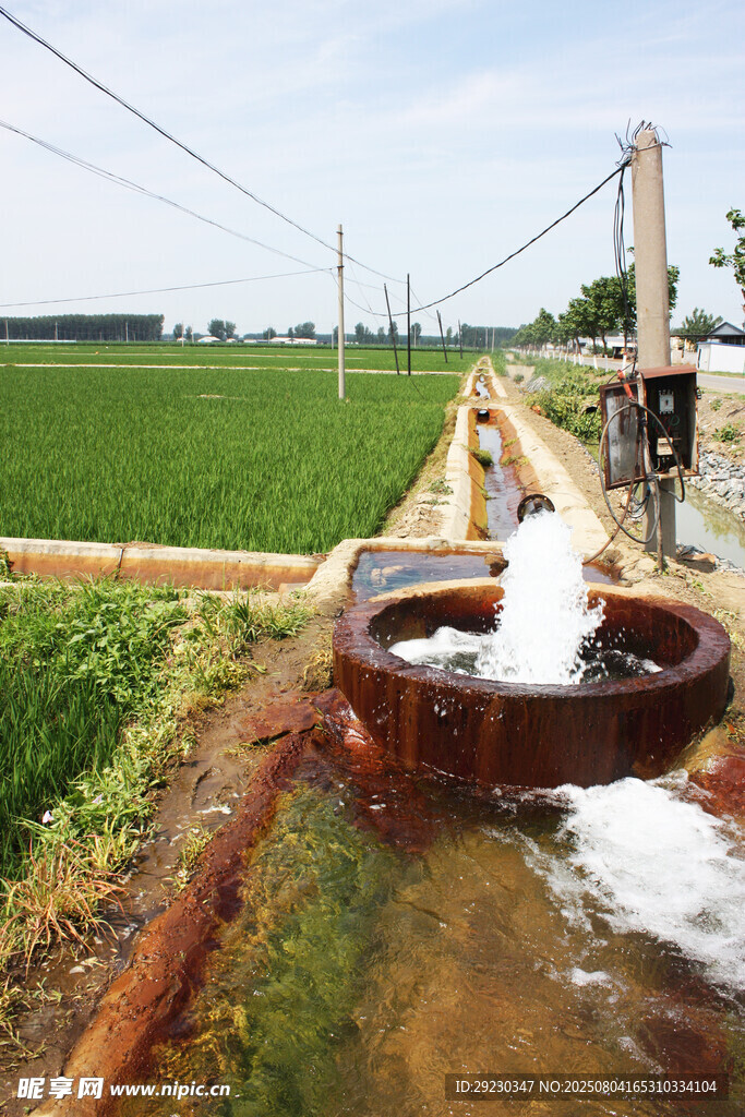 农田灌溉水井出水场景