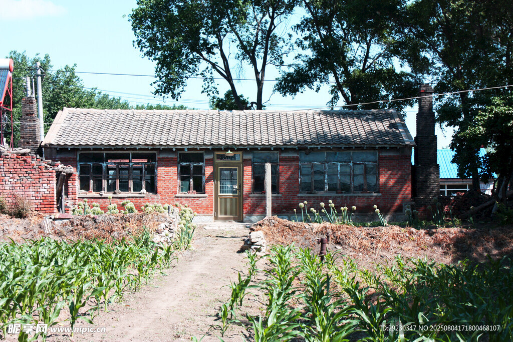 乡村红砖瓦房前院落