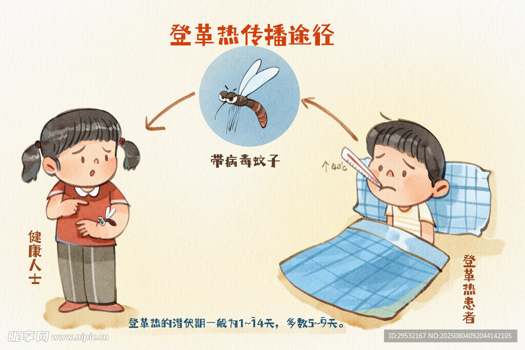 手绘水彩之登革热传播途径插画