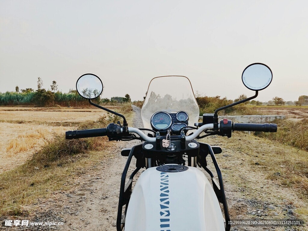 公路上的白色复古摩托车