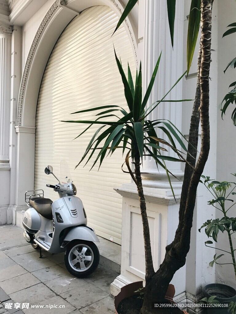 庭院中的复古踏板摩托车