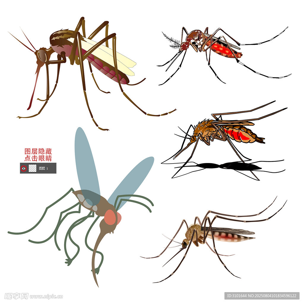 蚊素材