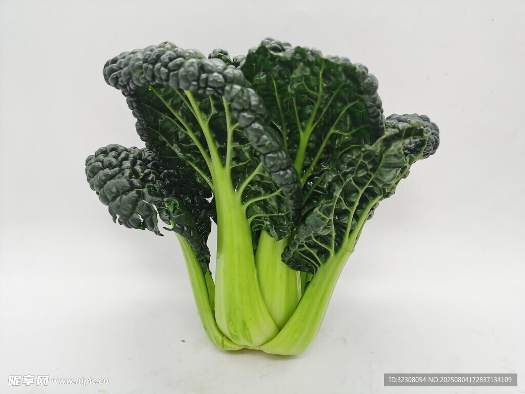 新鲜羽衣甘蓝蔬菜