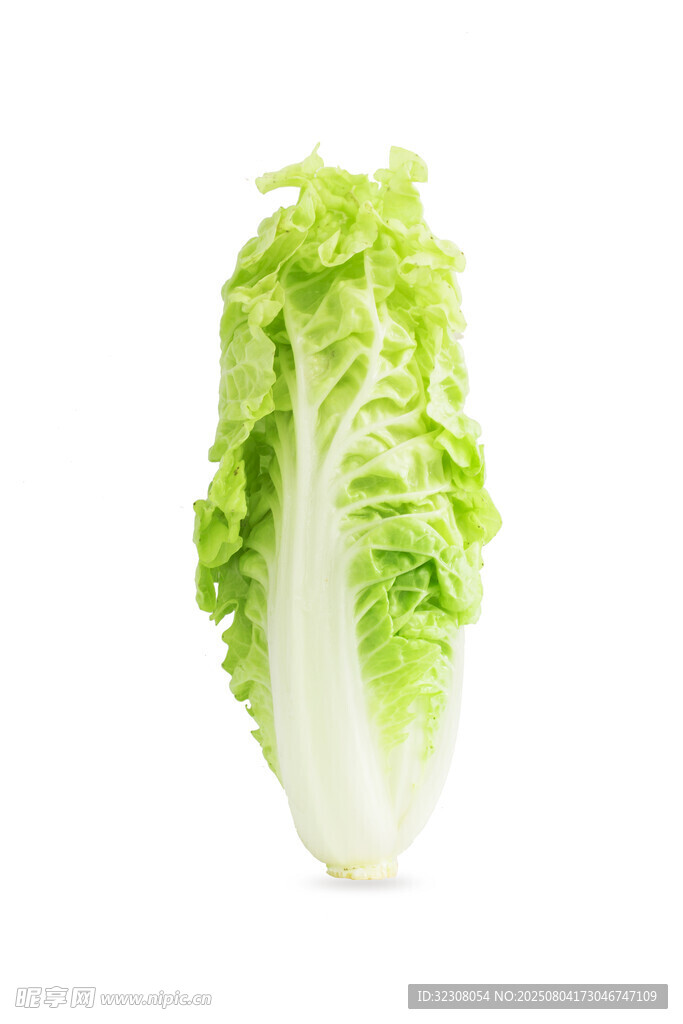 新鲜生菜