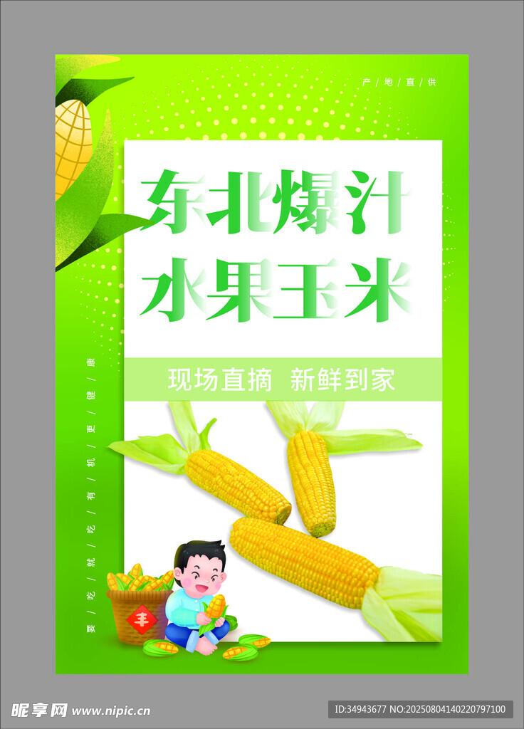 有机甜汁水果玉米宣传图