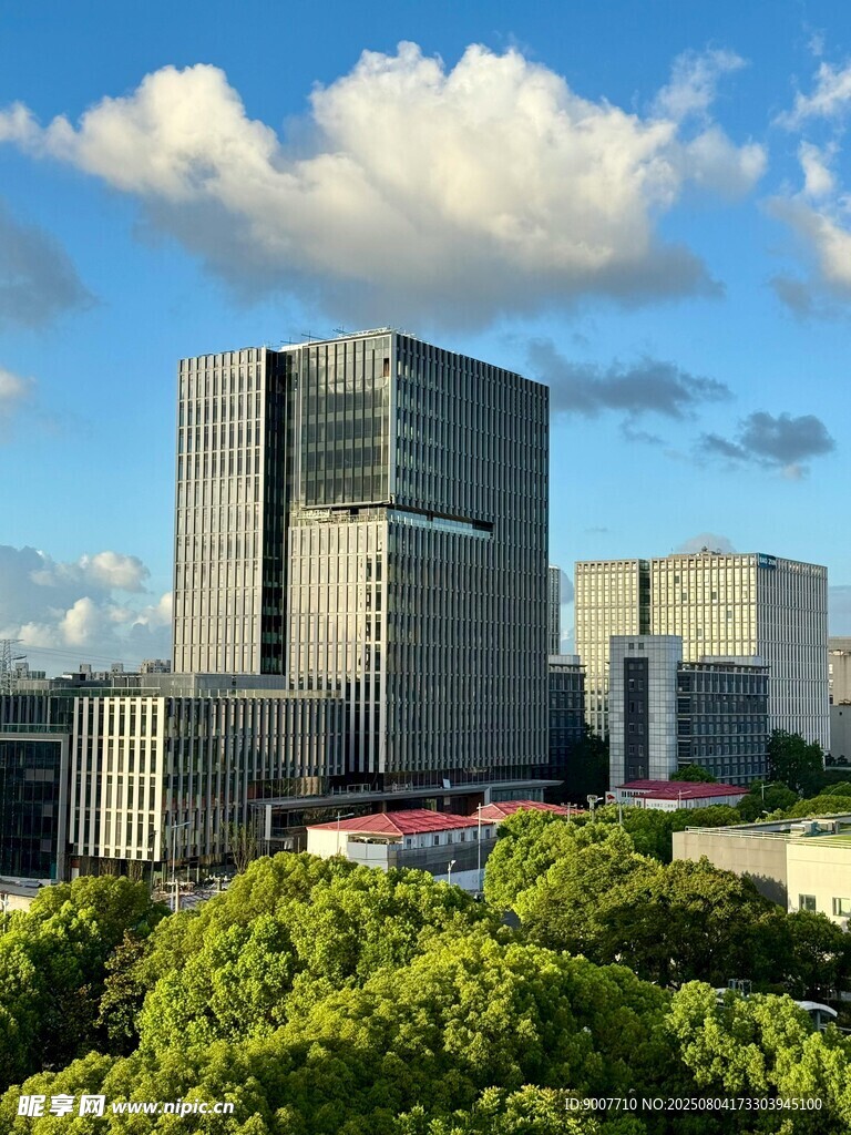 城市高楼与葱郁绿树景观