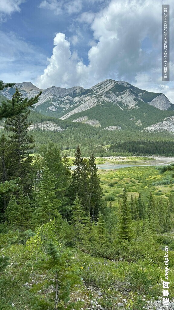 山间绿野 自然美景如画