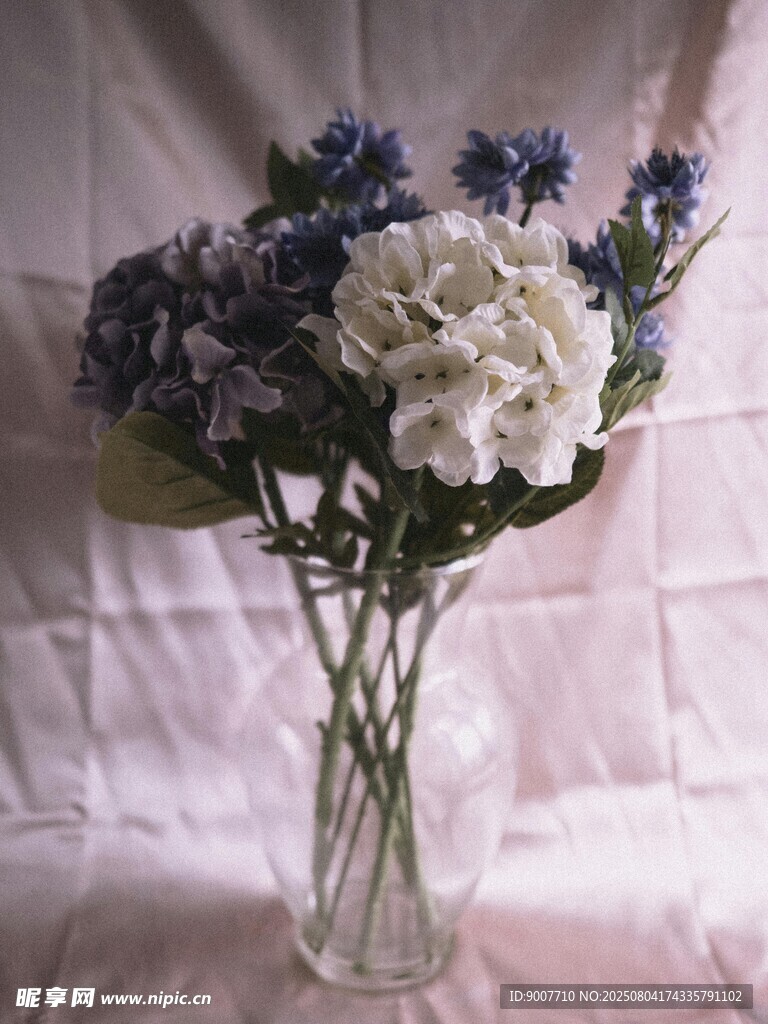 花瓶中的蓝白绣球花