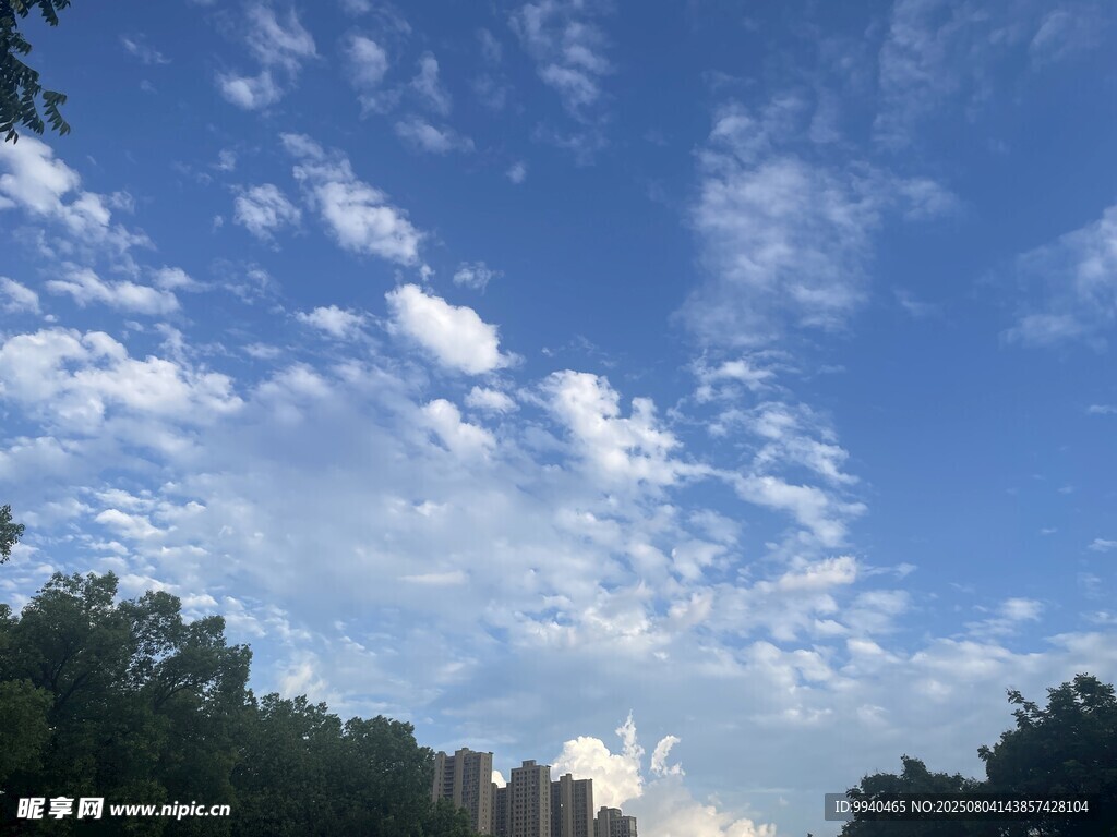 蓝天绿树间的城市天际线