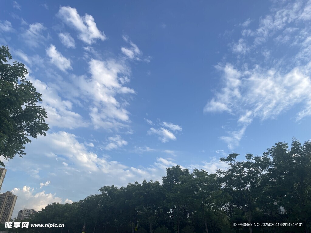 蓝天绿树间的白云美景