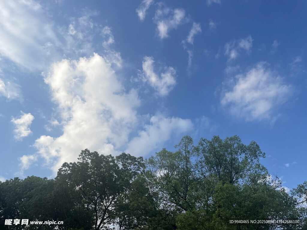 蓝天绿树间的悠然景致