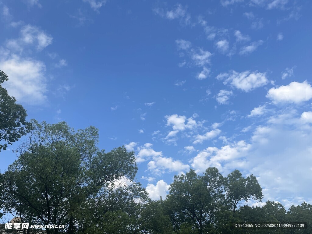 蓝天绿树间的悠然景致
