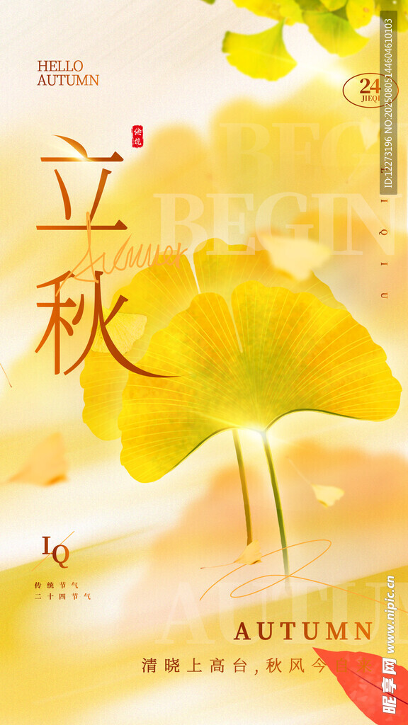 立秋时节的唯美黄叶画面