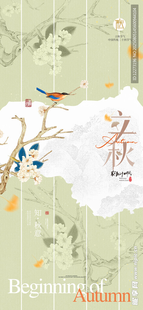 立秋海报