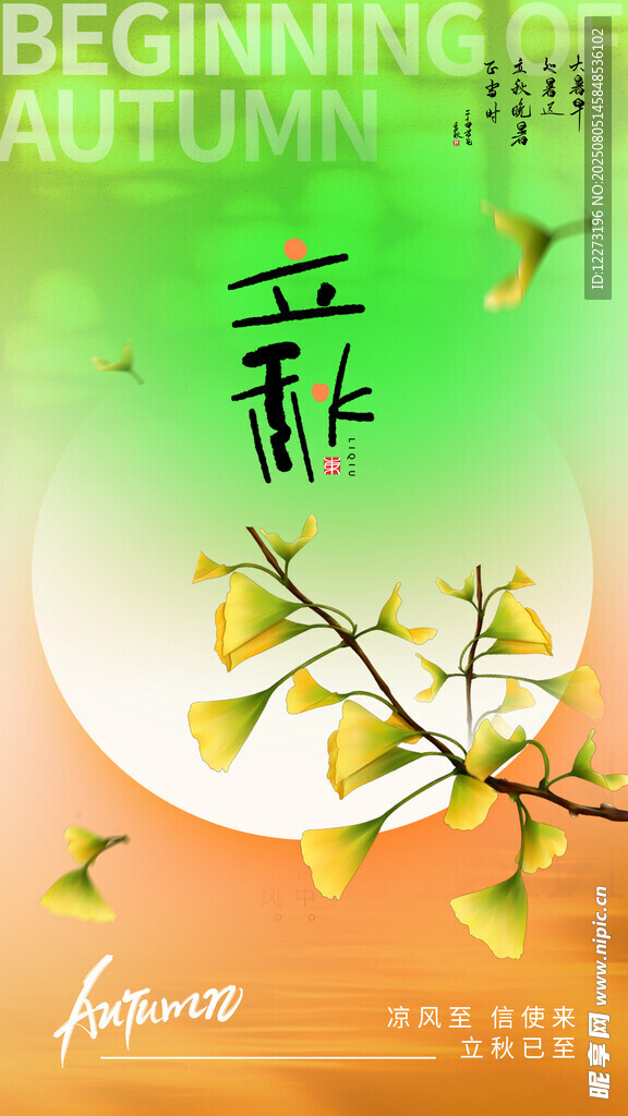 立秋时节银杏美景