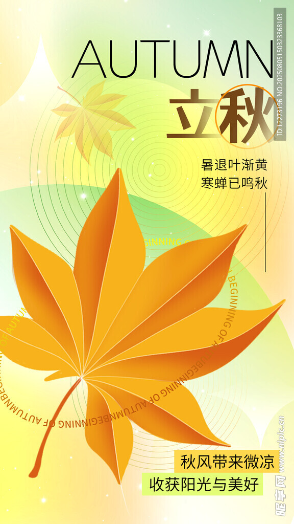 立秋时节枫叶插画海报