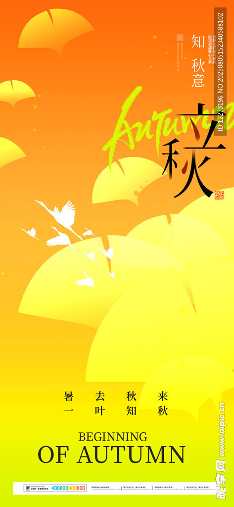 立秋海报