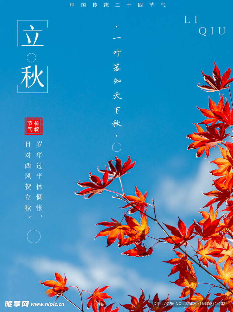 立秋时节枫叶映蓝天