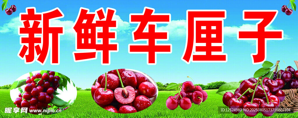 新鲜车厘子诱人果实展示