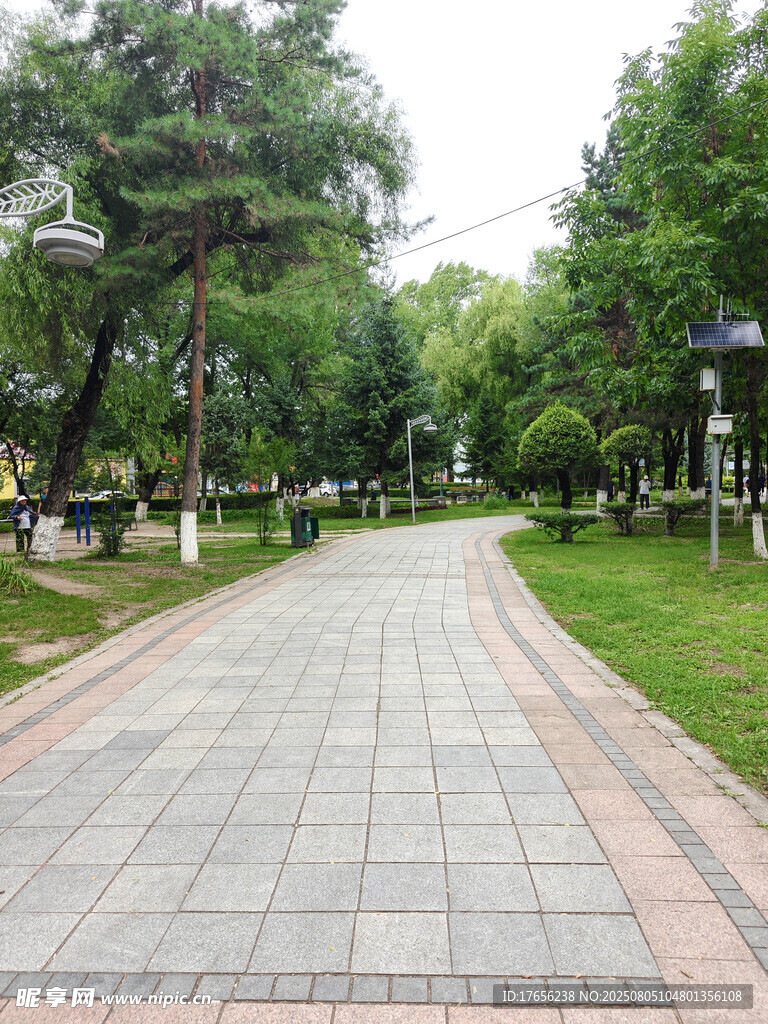 公园中的砖石铺就幽静步道