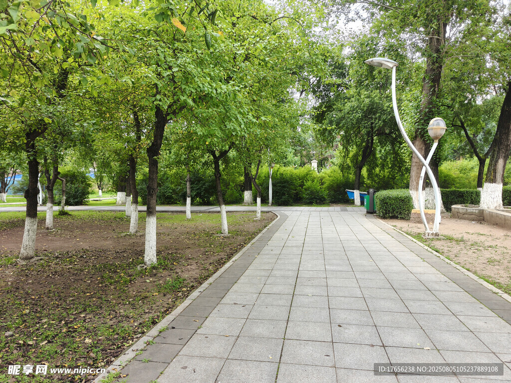 公园中的宁静步道