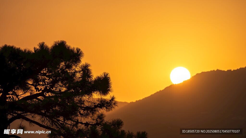 夕阳下的松树与远山