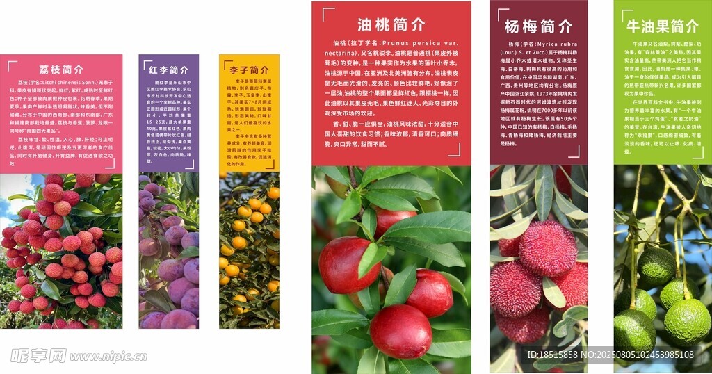 多彩水果展示