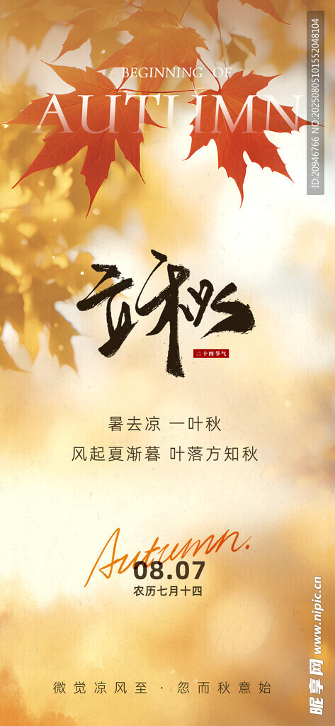 金秋时节诗意的枫叶景象