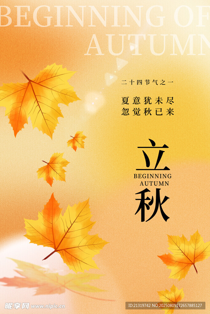 立秋海报