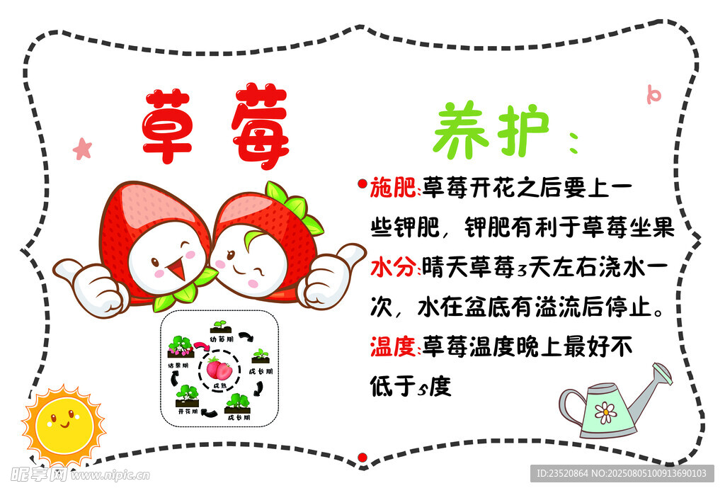 草莓养护小知识
