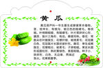 黄瓜知识科普
