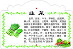 蔬菜营养知识宣传海报