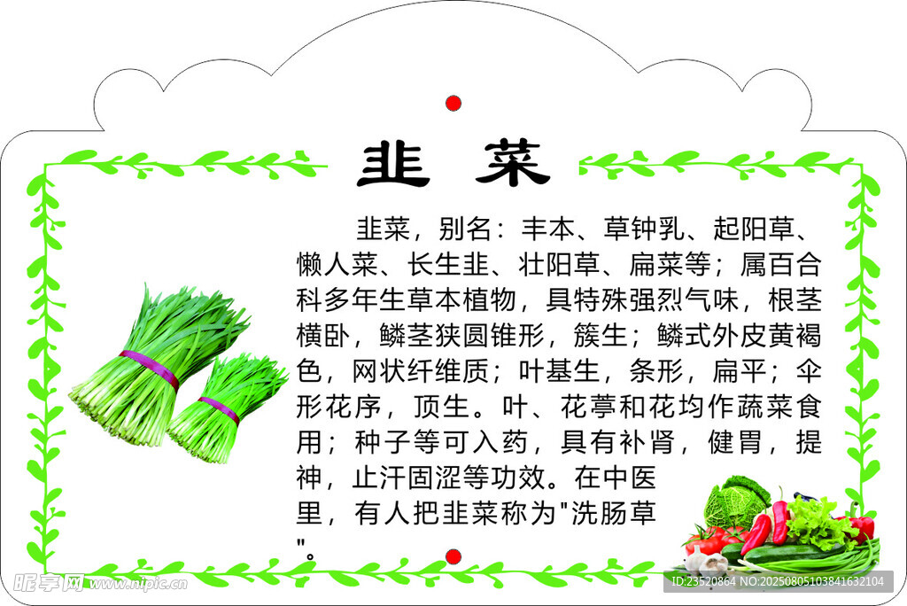 蔬菜营养知识宣传海报