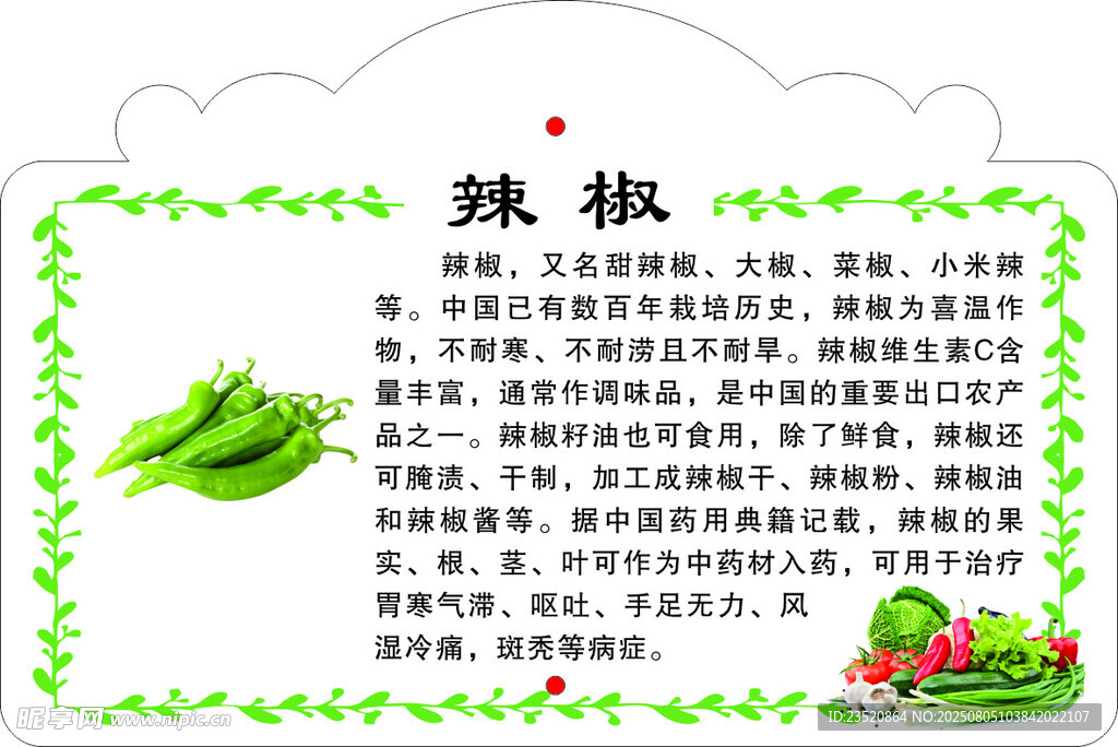 辣椒知识科普海报